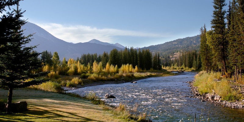 Mountains near a flowing river whose banks are lined with pine trees