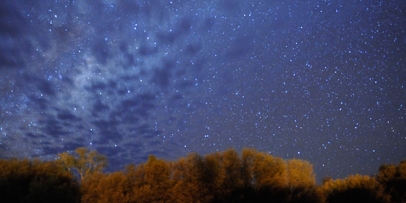 The night sky filled with stars
