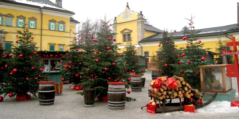 schonbrunn palace guided tour adventures by disney vienna austria christmas market 2019