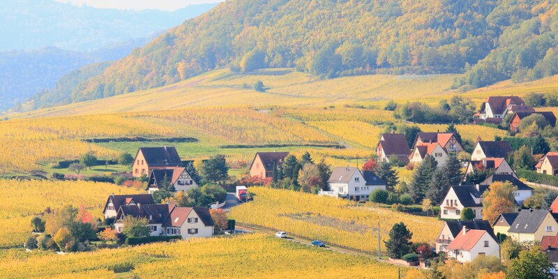 A pastoral landscape with a quaint homes sits up against very wooded hills
