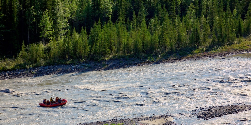 A family enjoys whitewater rafting on a river A family enjoys whitewater rafting on a river