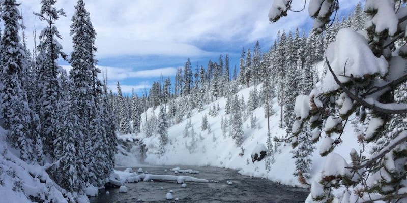 Pine trees stand on snow covered mountains that flank a creek Pine trees stand on snow covered mountains that flank a creek