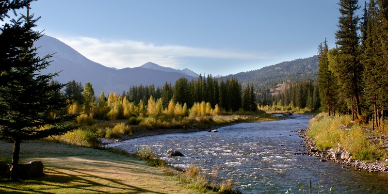 Mountains near a flowing river whose banks are lined with pine trees