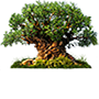 Tree of Life Ícone da Tree of Life